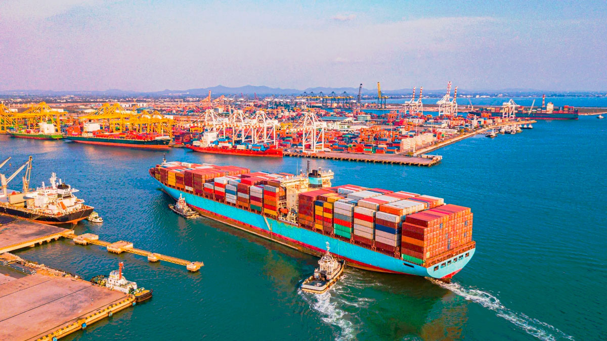 Evitar pérdidas logísticas en exportaciones